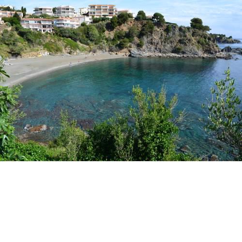 CAU DEL LLOP 7
