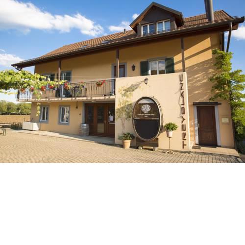 Cave Du Treyblanc