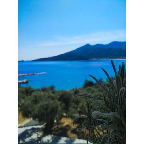 Celeste Golden Beach