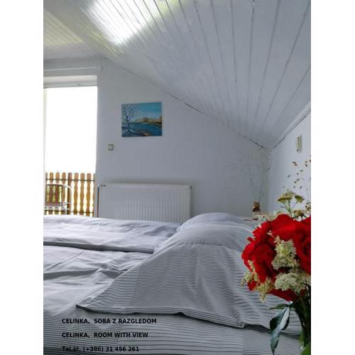 CELINKA rooms