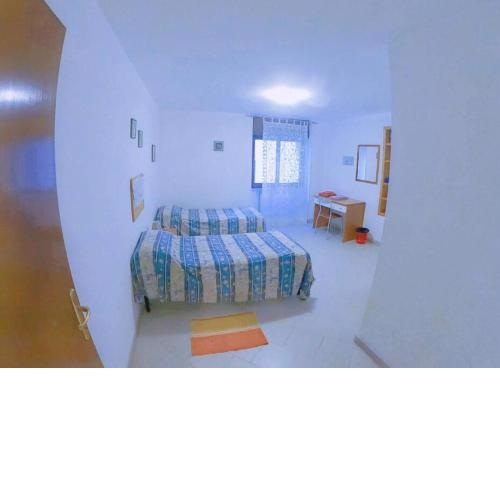 [ Center ] Pitti 8