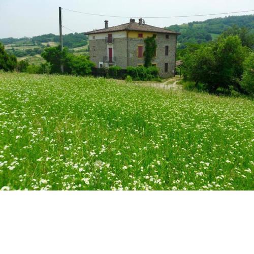 Cento Giorni dall'Artista