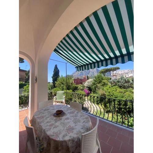 Central Apartment Capri