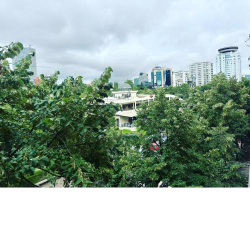 Central Apartment Shallvare