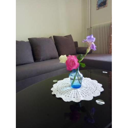 Central Apartment