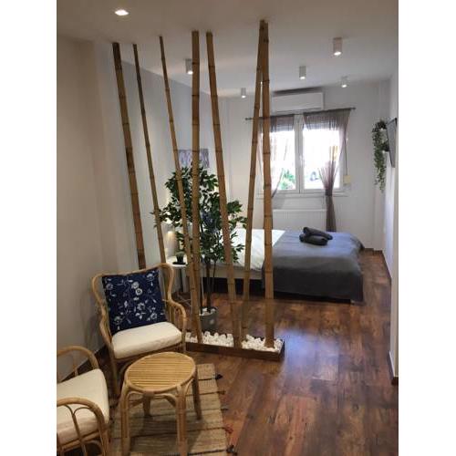 Central clean quiet apartment
