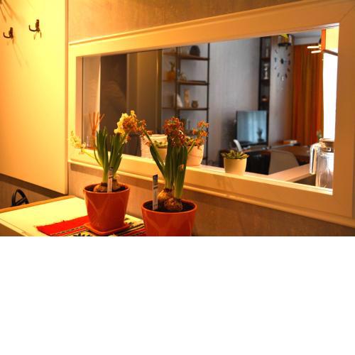 Central Luxury Apartment