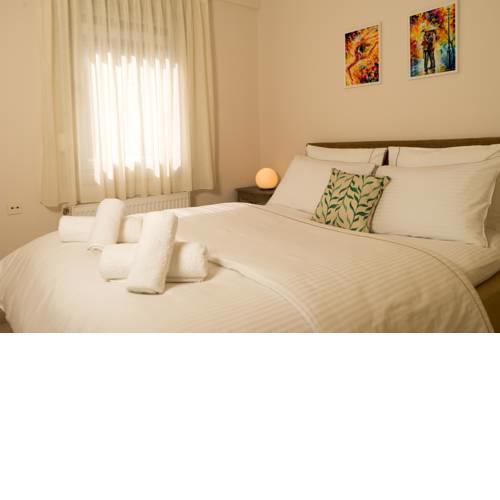 Central Luxury dimitri's apartment