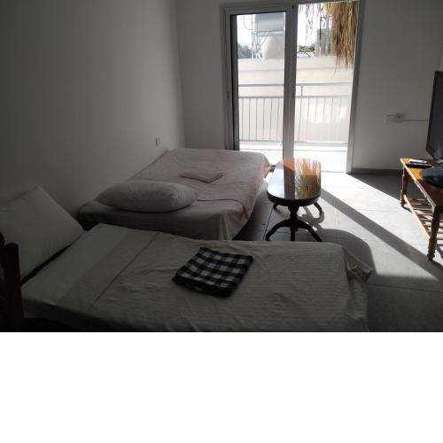 Central modern newly furnished apartment