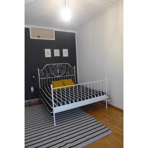 Central newly renovated apartment