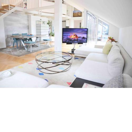 Central Penthouse Holiday-Let in Vienna