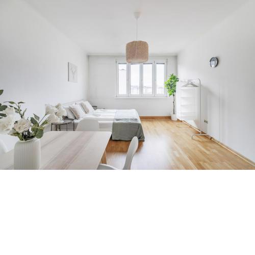 Central Retreat Schwedenplatz