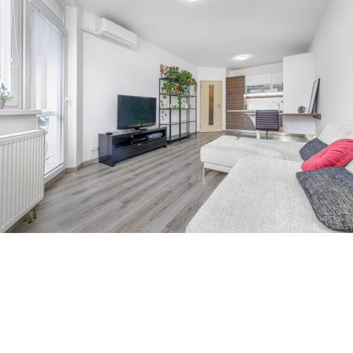 Central, sunny and spacious apartment