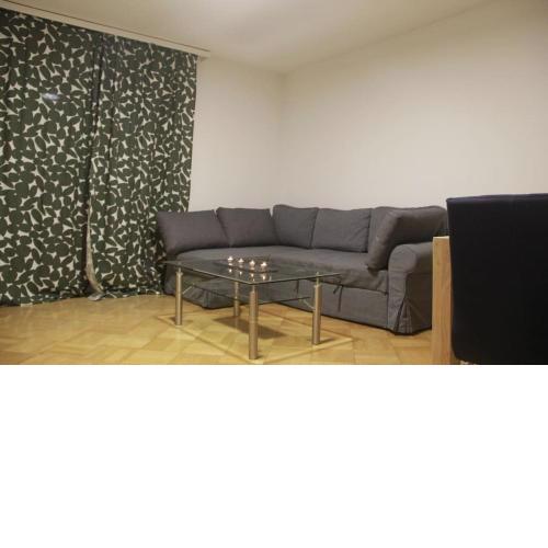 Centrally Located Apt in Bern