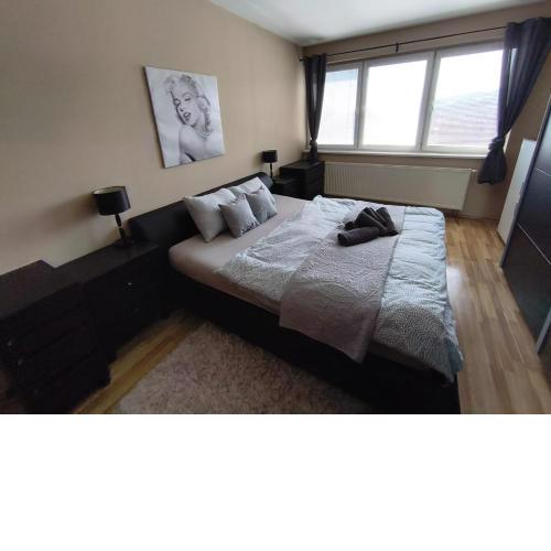 Centrum apartment