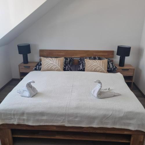 Černá růže - Apartmán 6