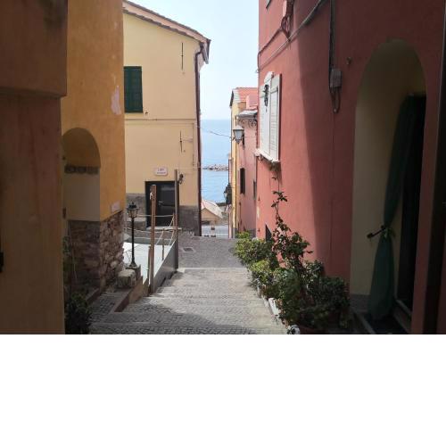Cervo al mare