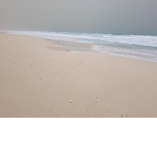 chalet a large Garden roof Sea view 8 guests للعائلات فقط قريه شاطيء الفيروز سيدى كرير
