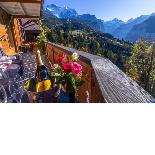 Chalet Aargovia South