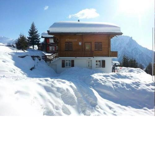 Chalet Adlerhorst Parterre 3,5 Zimmer Ferienwohnung