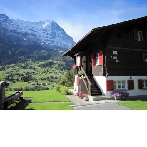 Chalet Aiiny