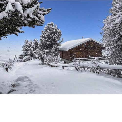 Chalet Albarose - Vercorin