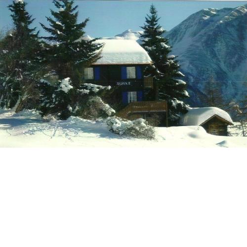 Chalet Alpina