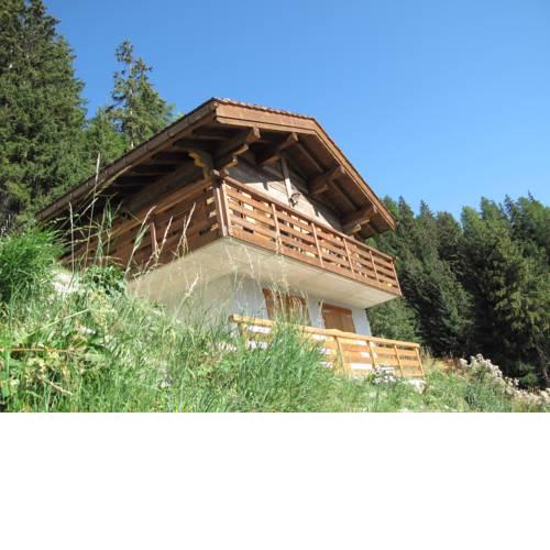 Chalet Amos