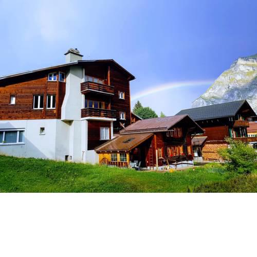 Chalet Anemone 2