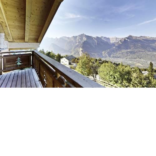 Chalet Appaloosa