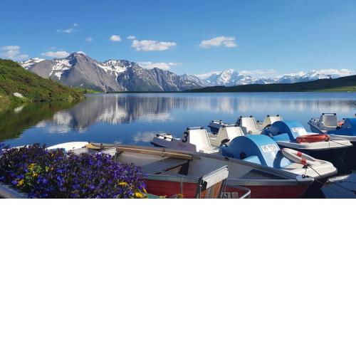 Chalet ARVE
