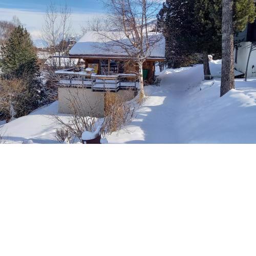 Chalet AS des Pics