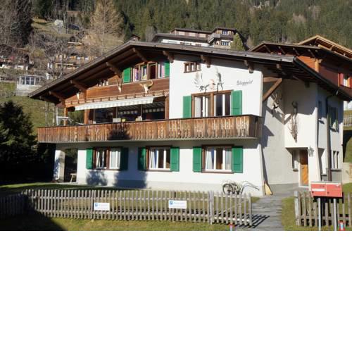 Chalet Berggeist Adelboden Wohnung 1