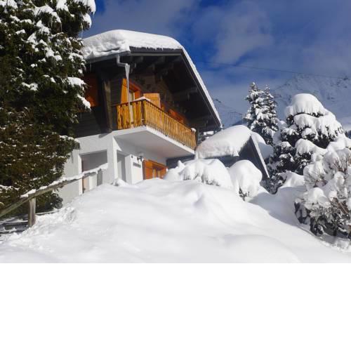 Chalet Biquinou
