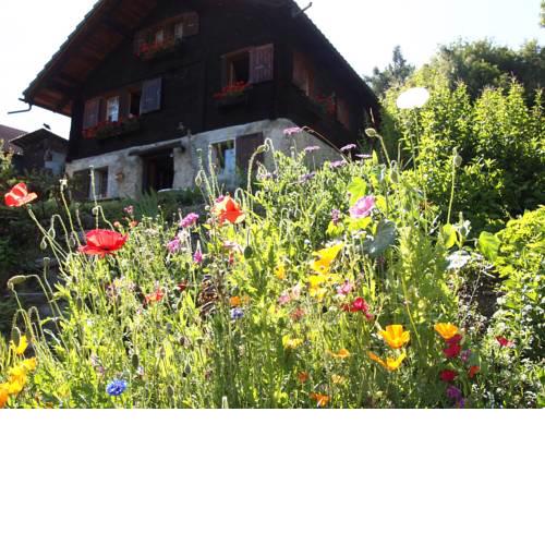Chalet Cathy