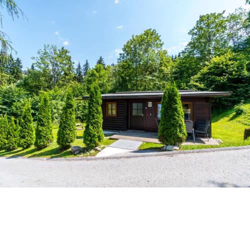 Chalet Chalets Im Brixental V 2