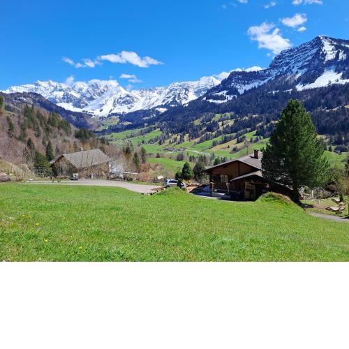 Chalet Chnorz Apartment
