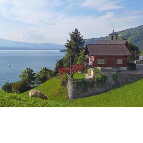 Chalet Christina