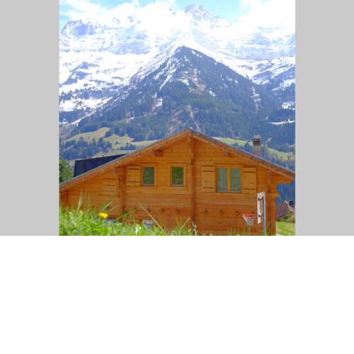 Chalet Cozy