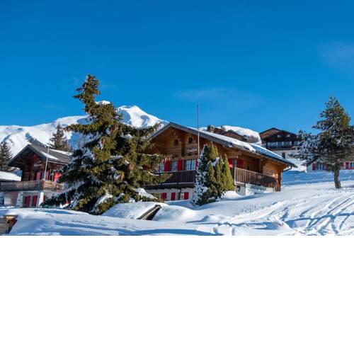 Chalet Elisabeth