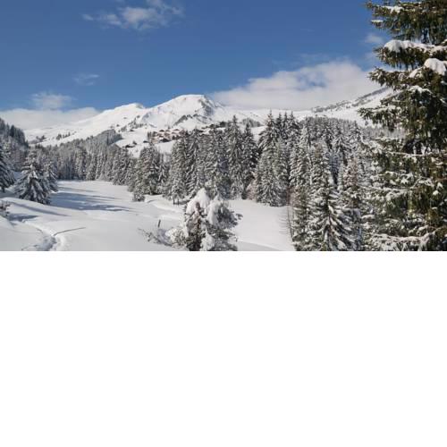 Chalet Ella
