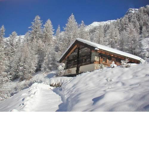 Chalet Epilobes