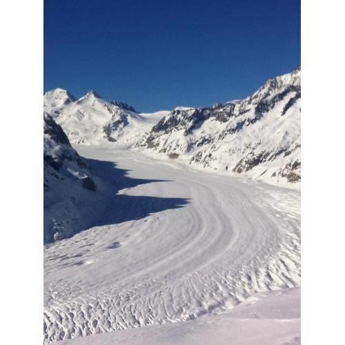 Chalet Foresta OG