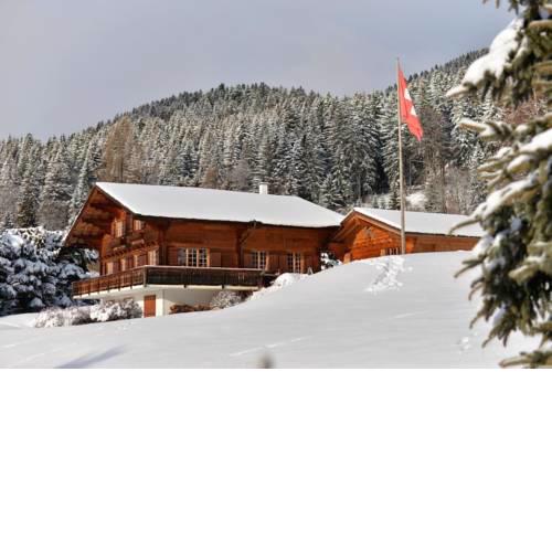 Chalet Gentiane des Neiges, near to the Aiglon college