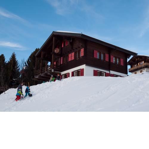 Chalet Gerbera