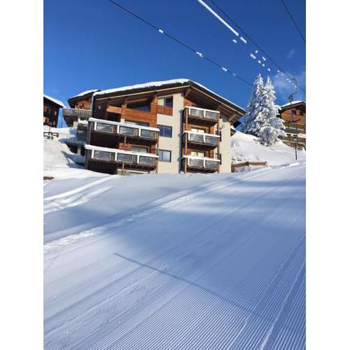 Chalet Gletscherfloh