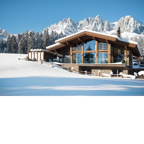 Chalet Going am Wilden Kaiser - OTR07523-T
