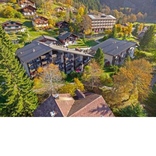 Chalet Gruebi 2