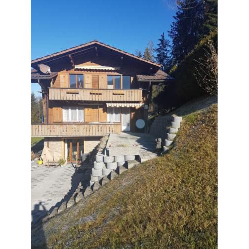 Chalet Grüneggli