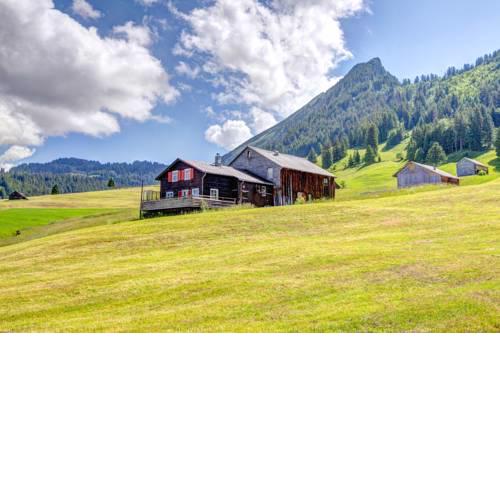 Chalet Gschwend